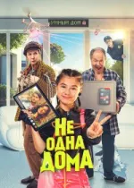 Не одна дома 2
