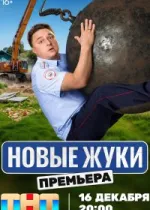 Жуки